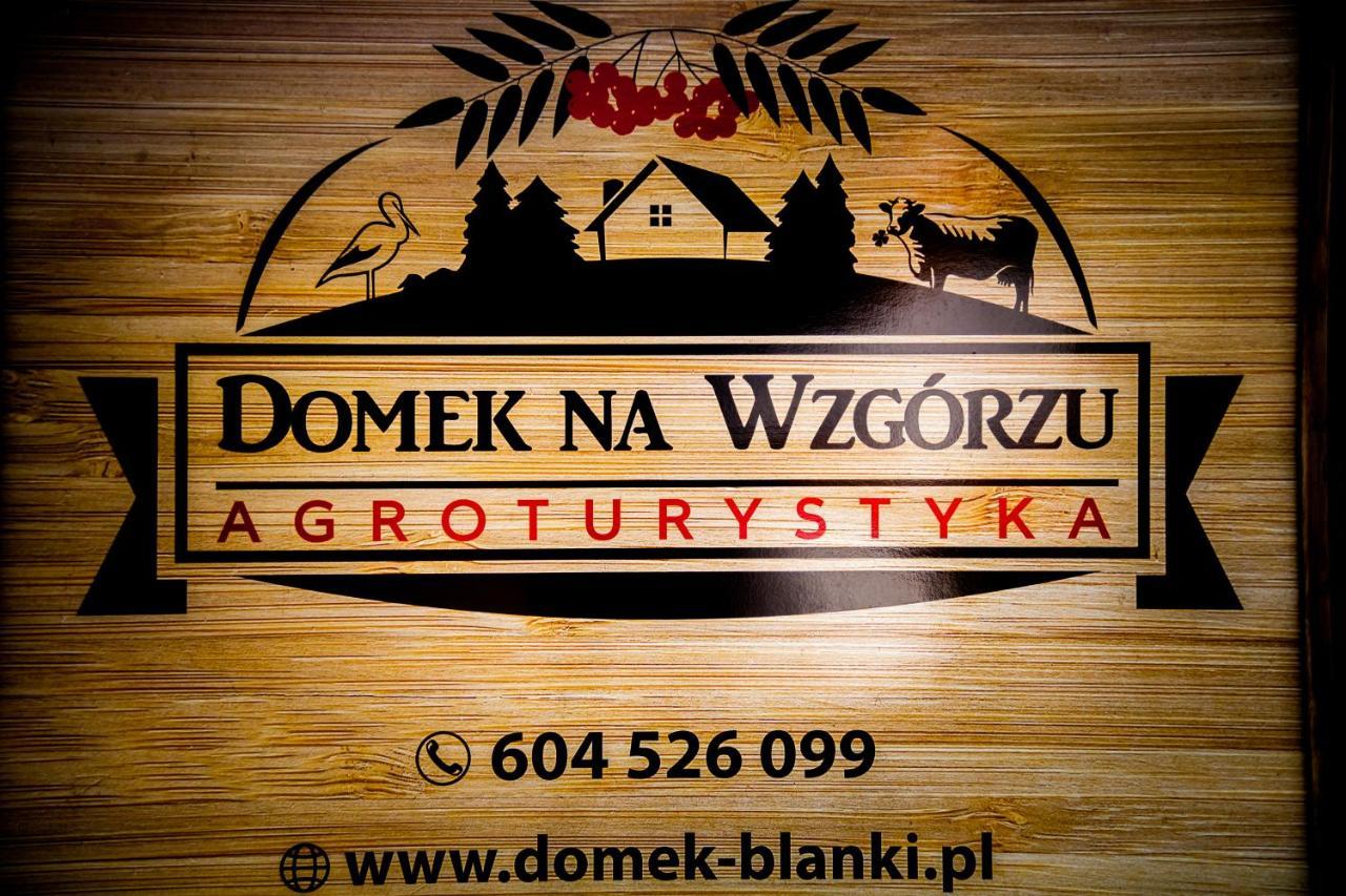 לידזבארק ורמינסקי Domek Na Wzgorzu Blanki מראה חיצוני תמונה